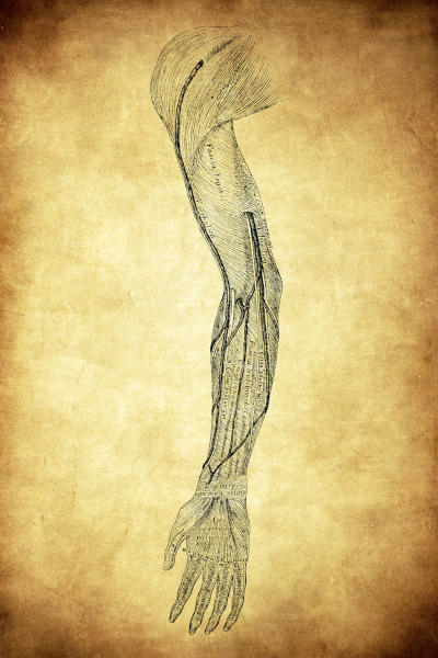 fascia 400x600